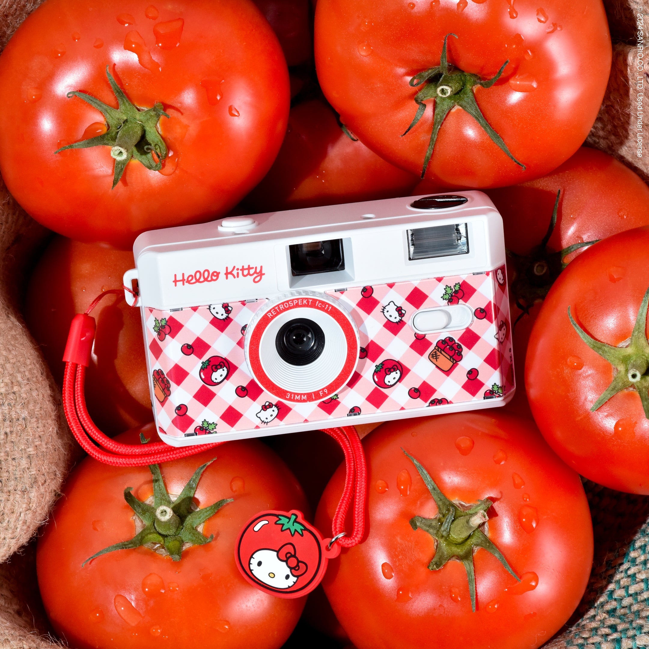 Hello Kitty Tomatoes 35mm Camera Free Shipping Best Pices