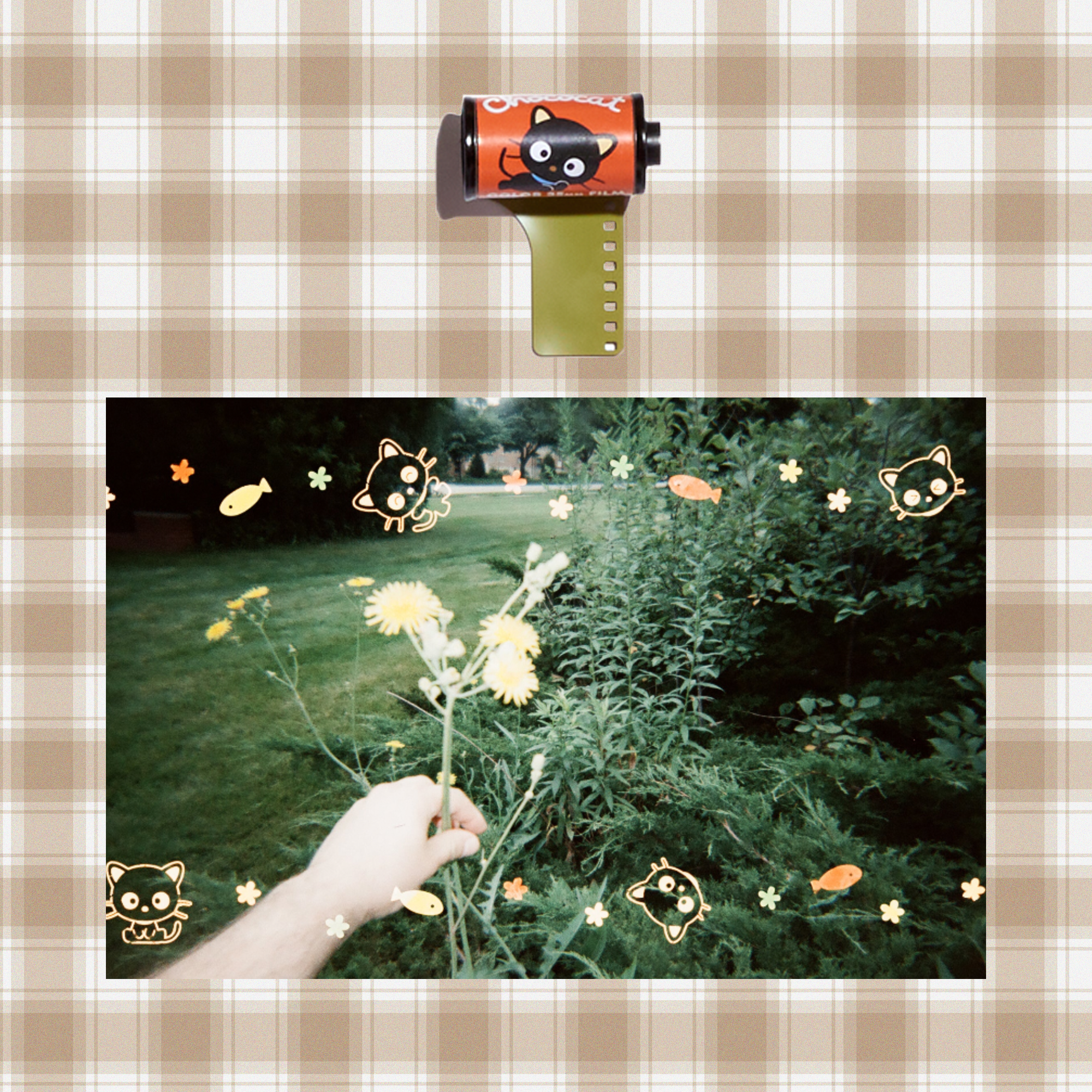 Chococat 35mm Special Border Film Affordable Online