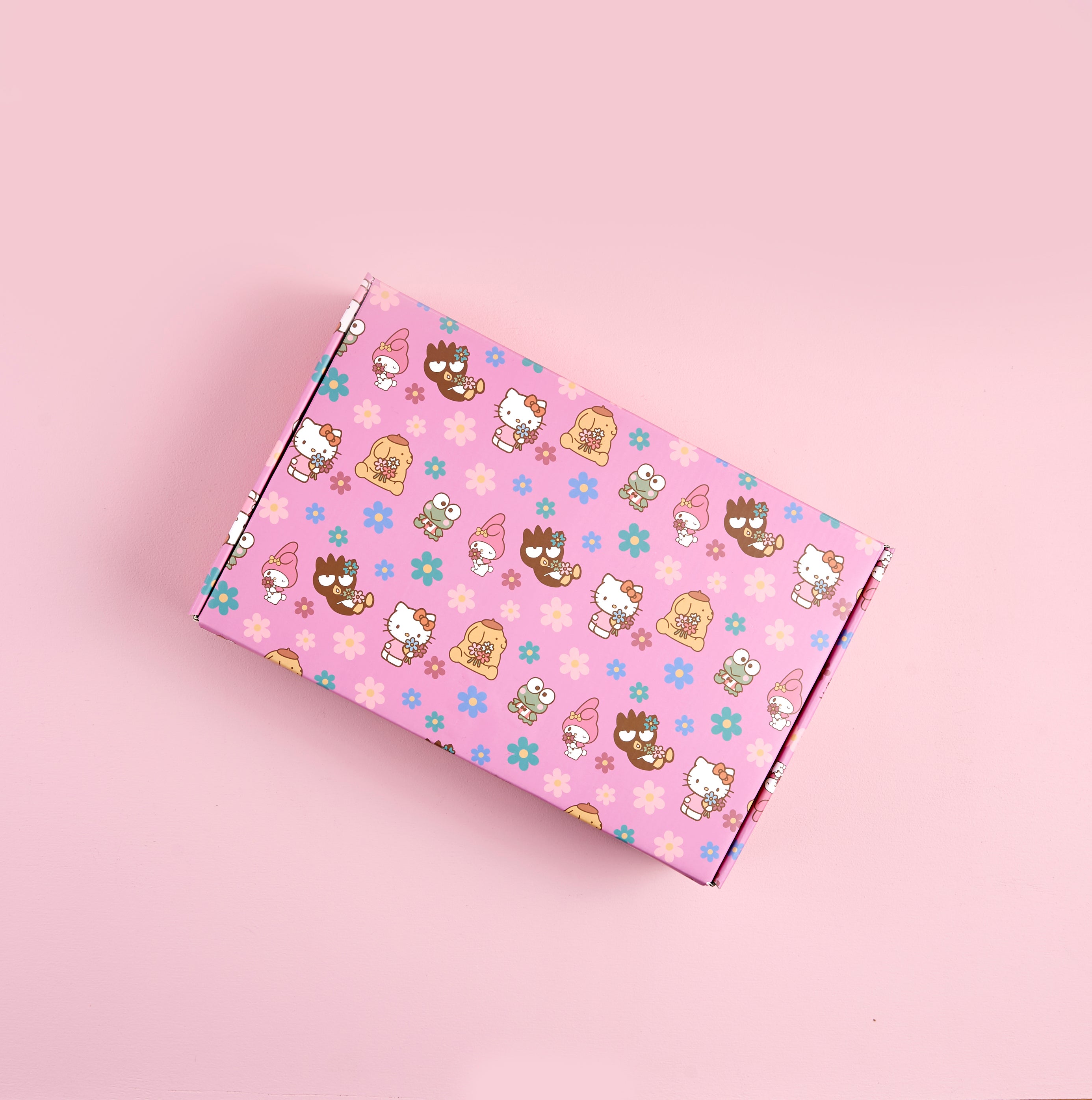 Hello Kitty x Erin Condren Special Edition Gift Box Clearance Recommend