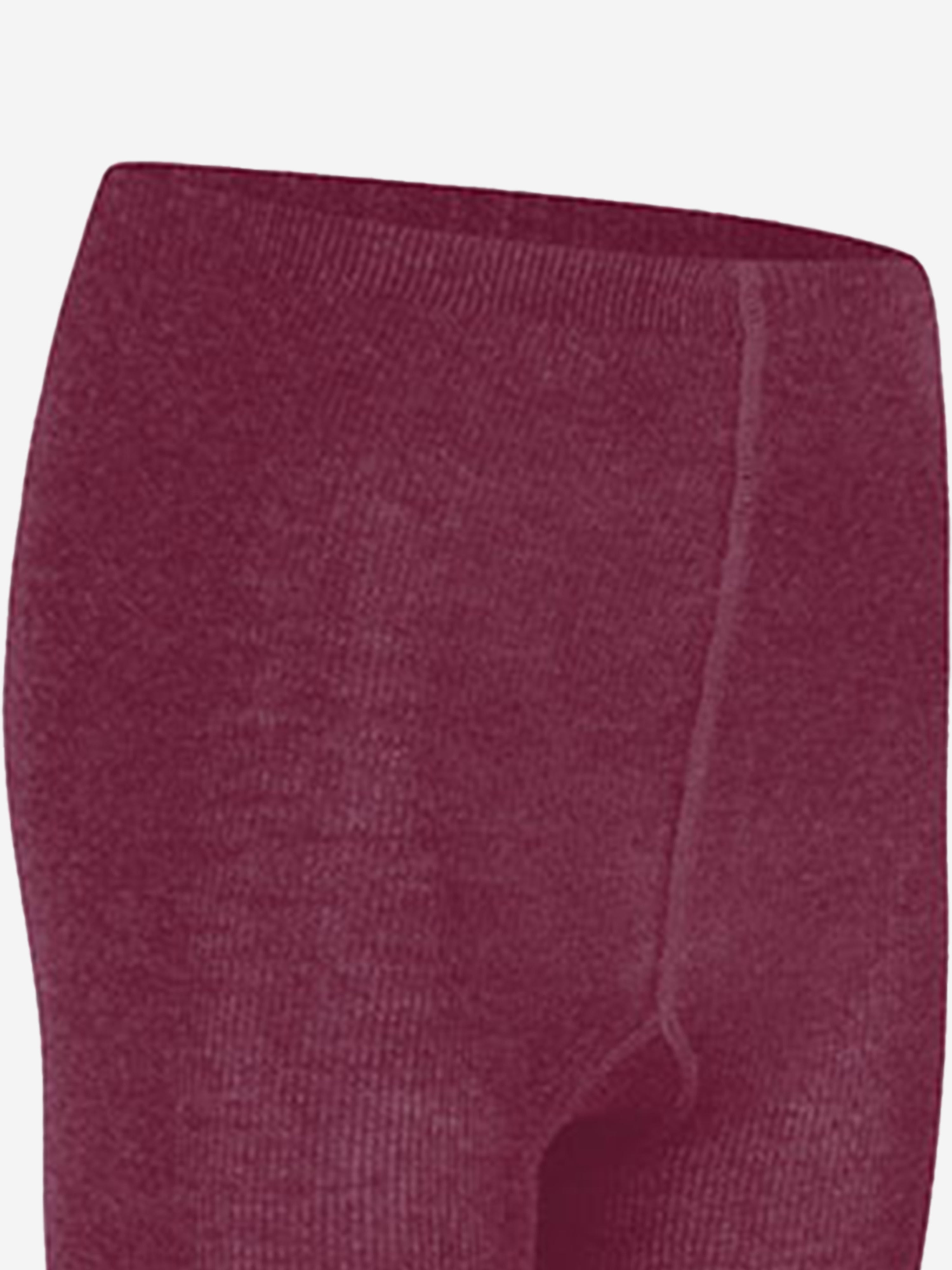 Zeco Girls School Cotton Tights (2 Pack) in Purple Clearance Great Deals