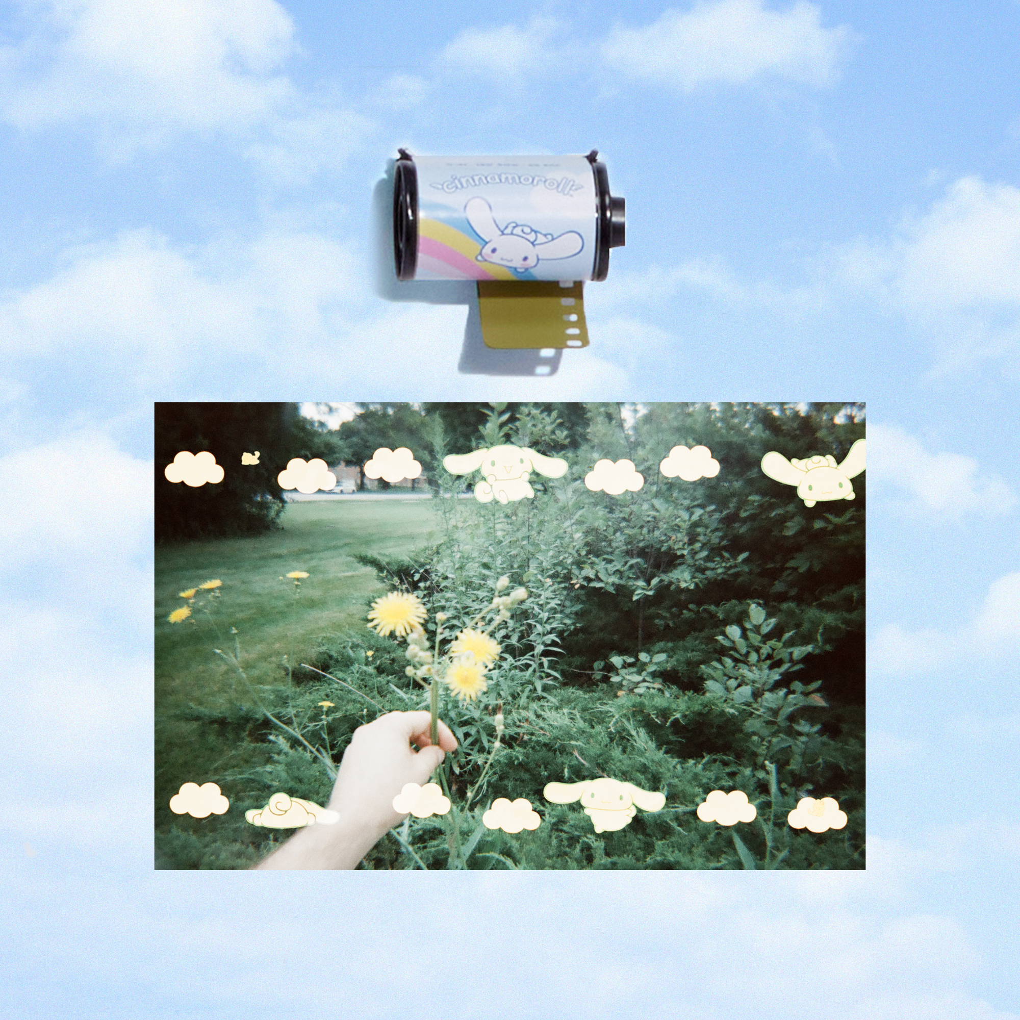 Cinnamoroll 35mm Special Border Film Cheapest Online