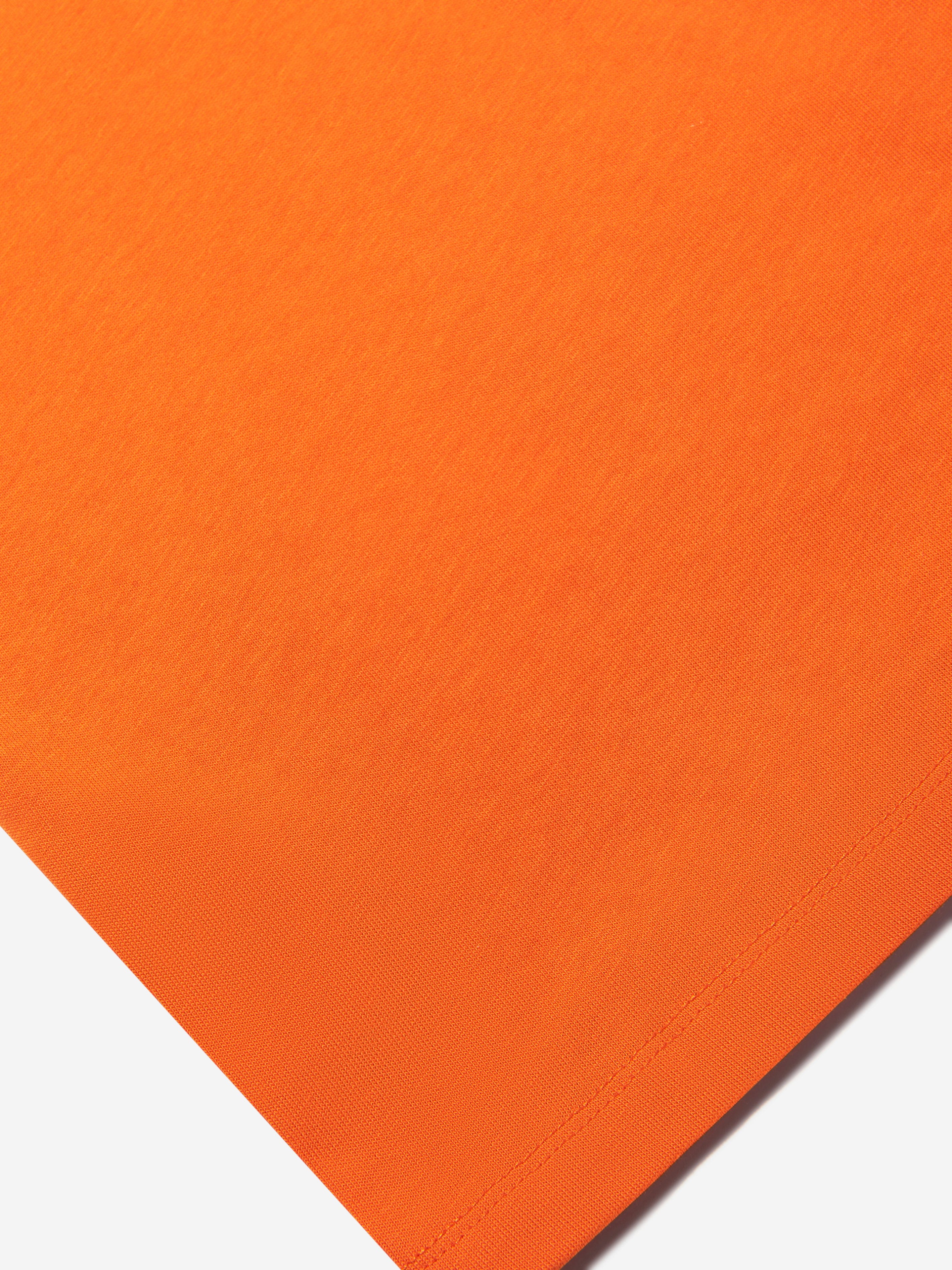Molo Boys Dino Lake T-Shirt in Orange Release Dates