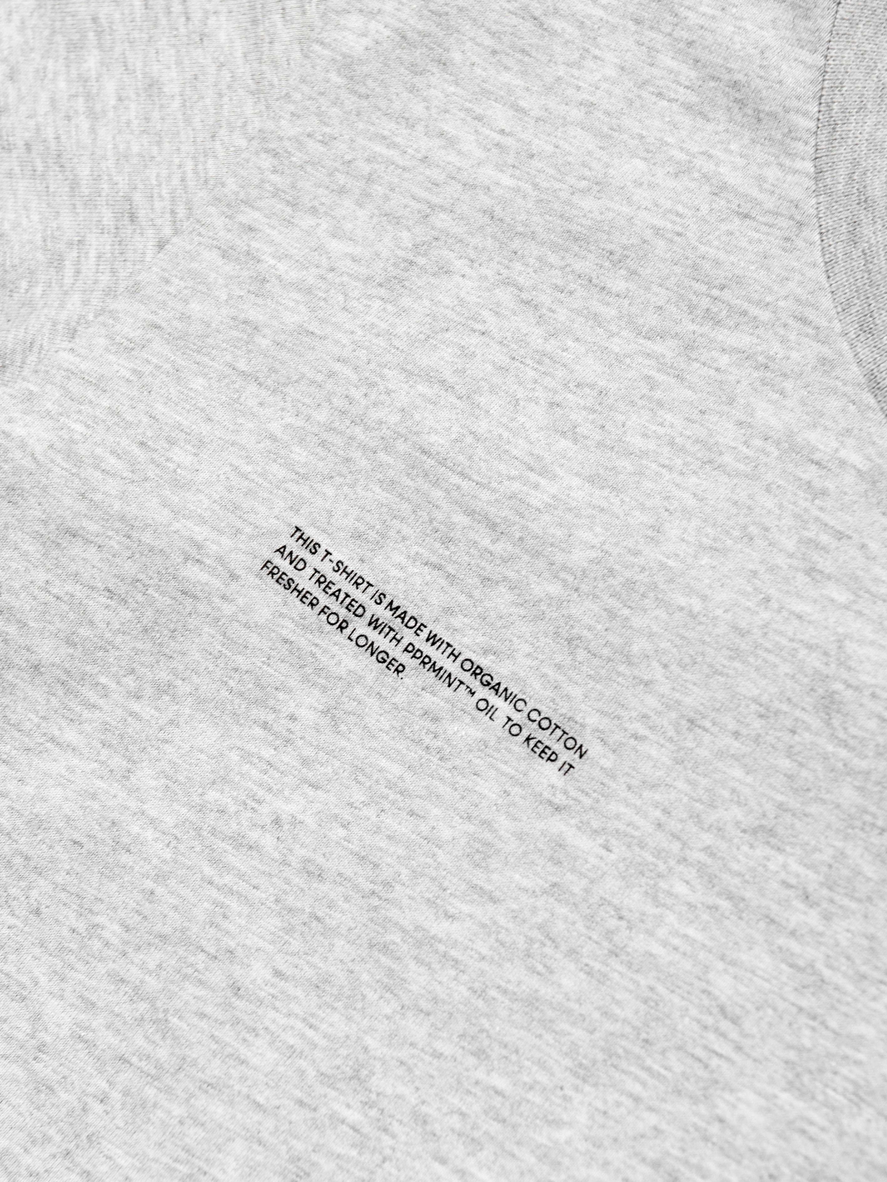PANGAIA Kids 365 Midweight T-Shirt in Grey Cheap Good Selling