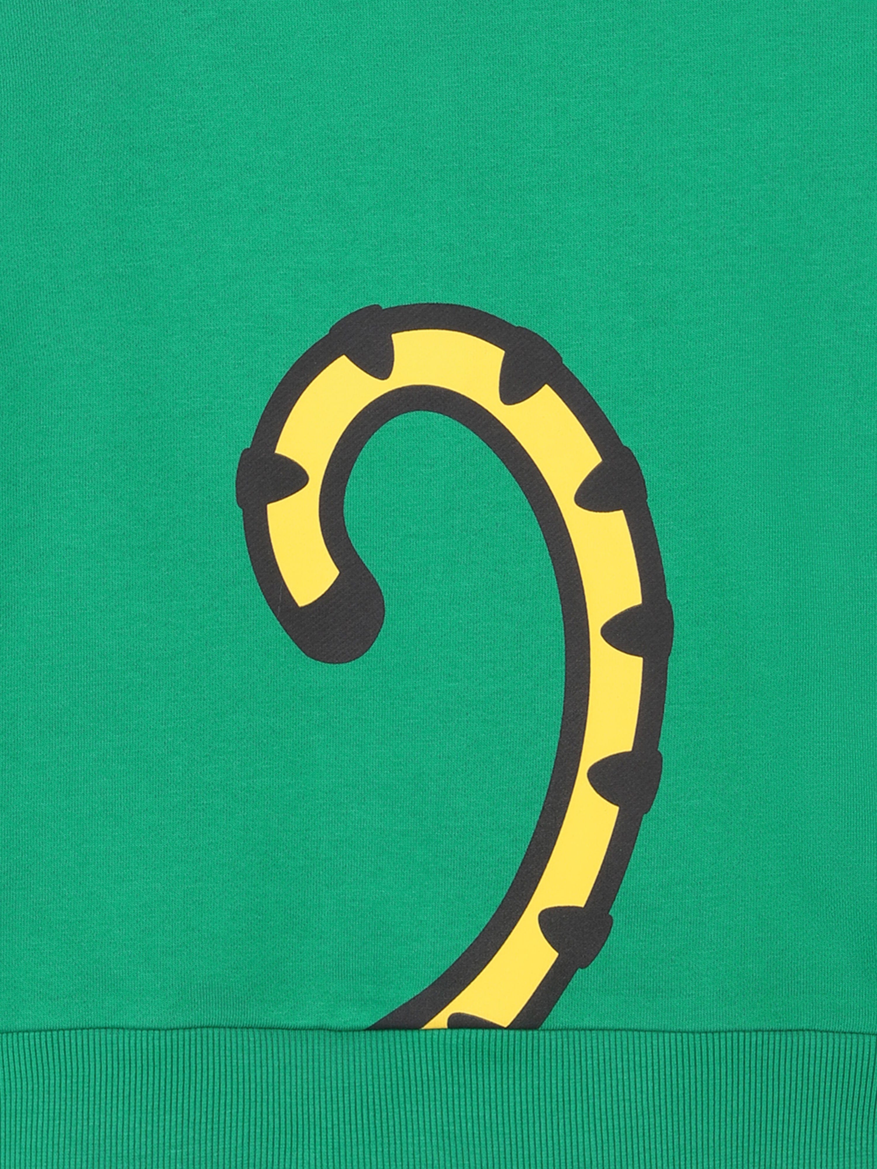 Boys Kotora Sweatshirt in Green Sale Outlet Locations