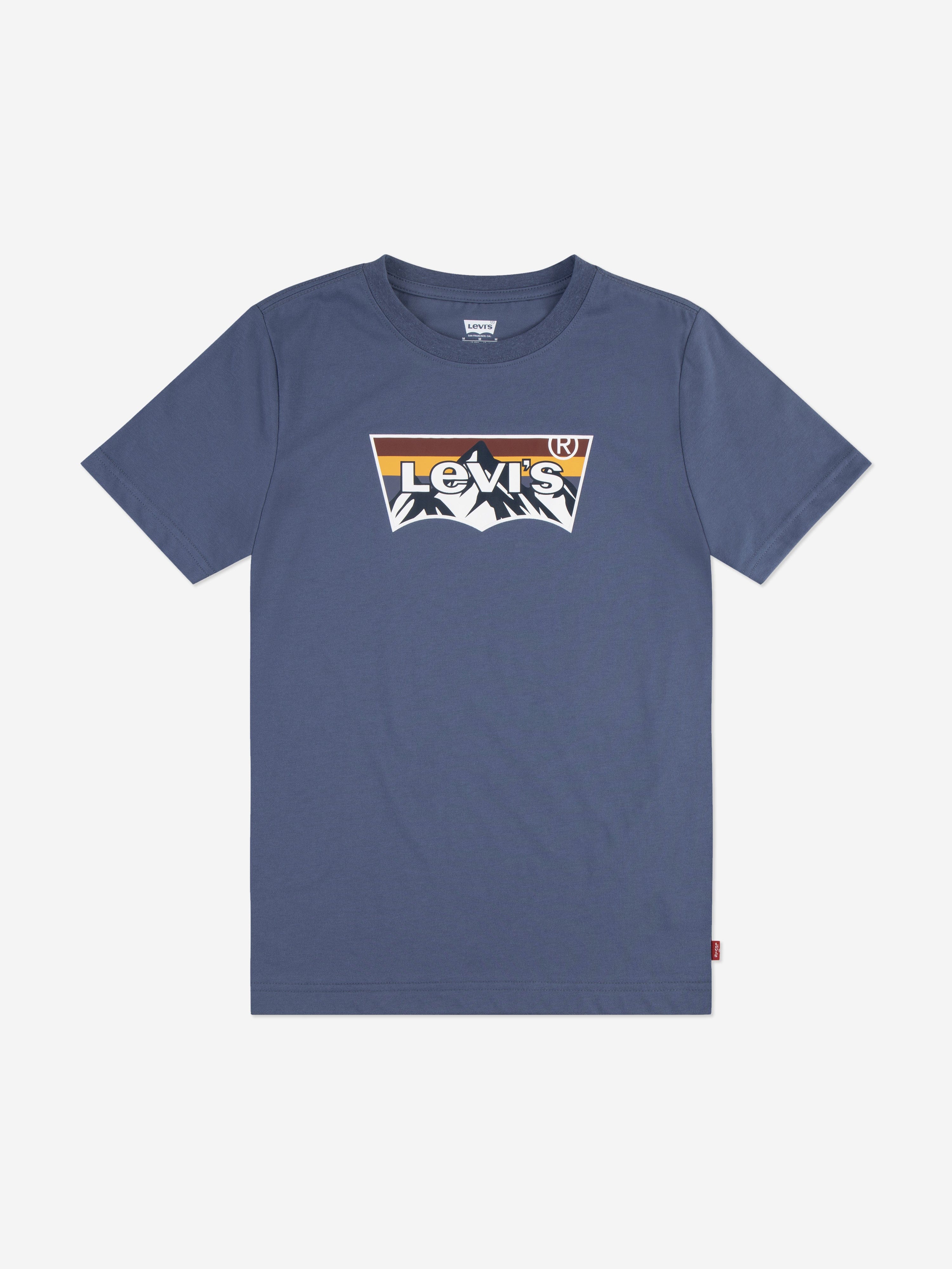 Levi's Boys Mountain Batwing T-Shirt in Blue