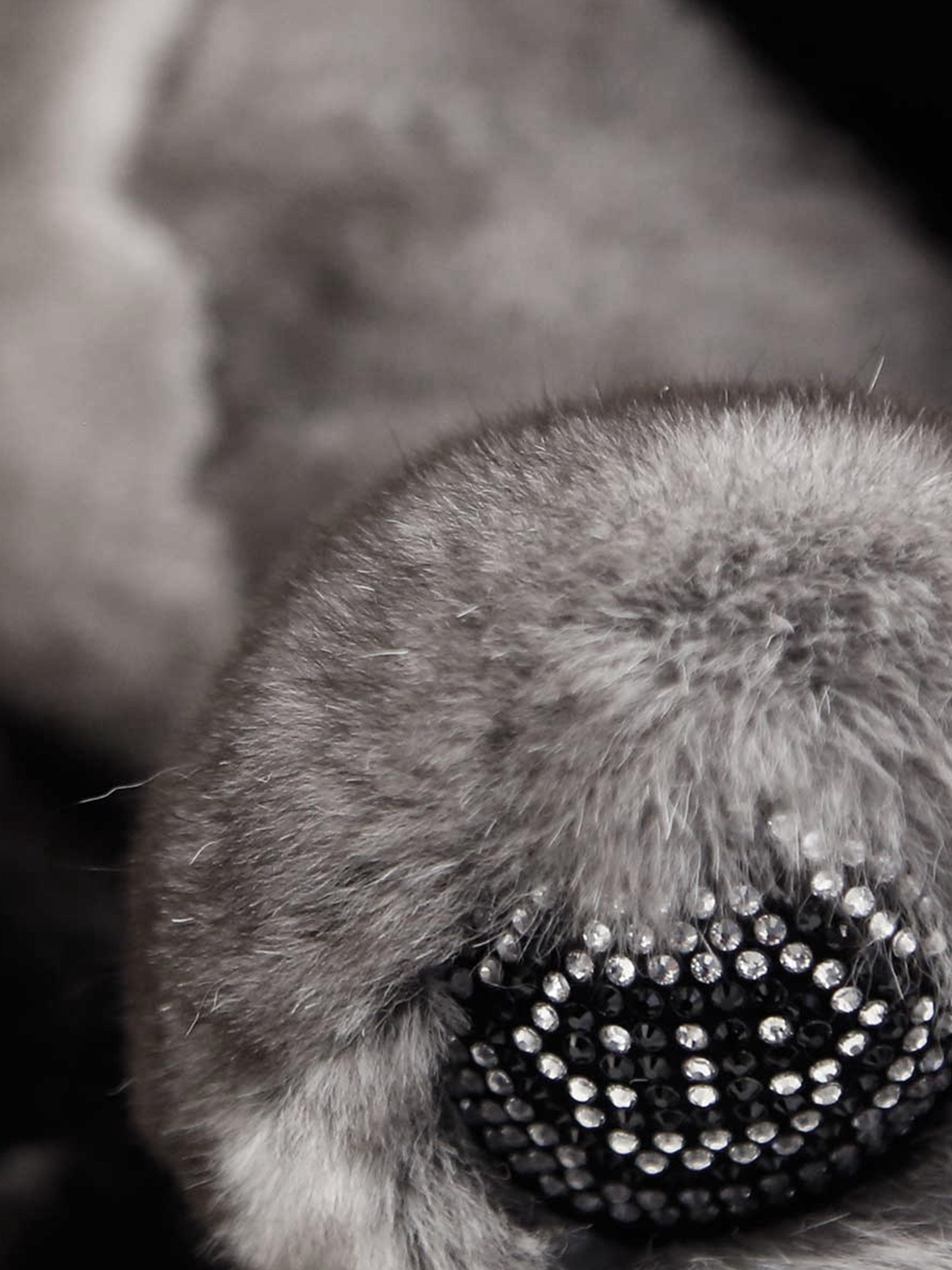Philipp Plein Unisex Teddy Bear Clearance With Credit Card