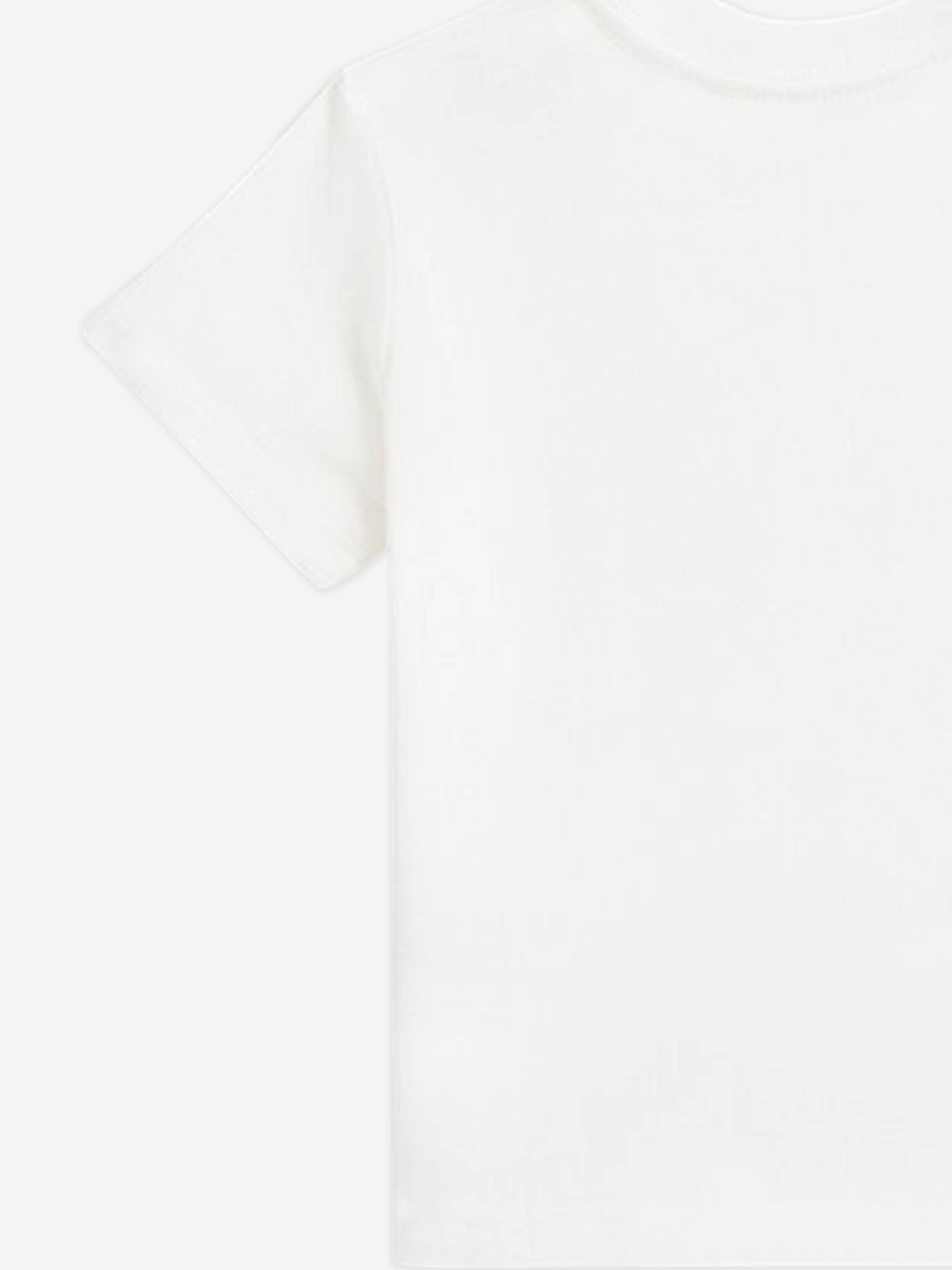 Boys Polo Bear T-Shirt in White Top Quality Cheap Pice