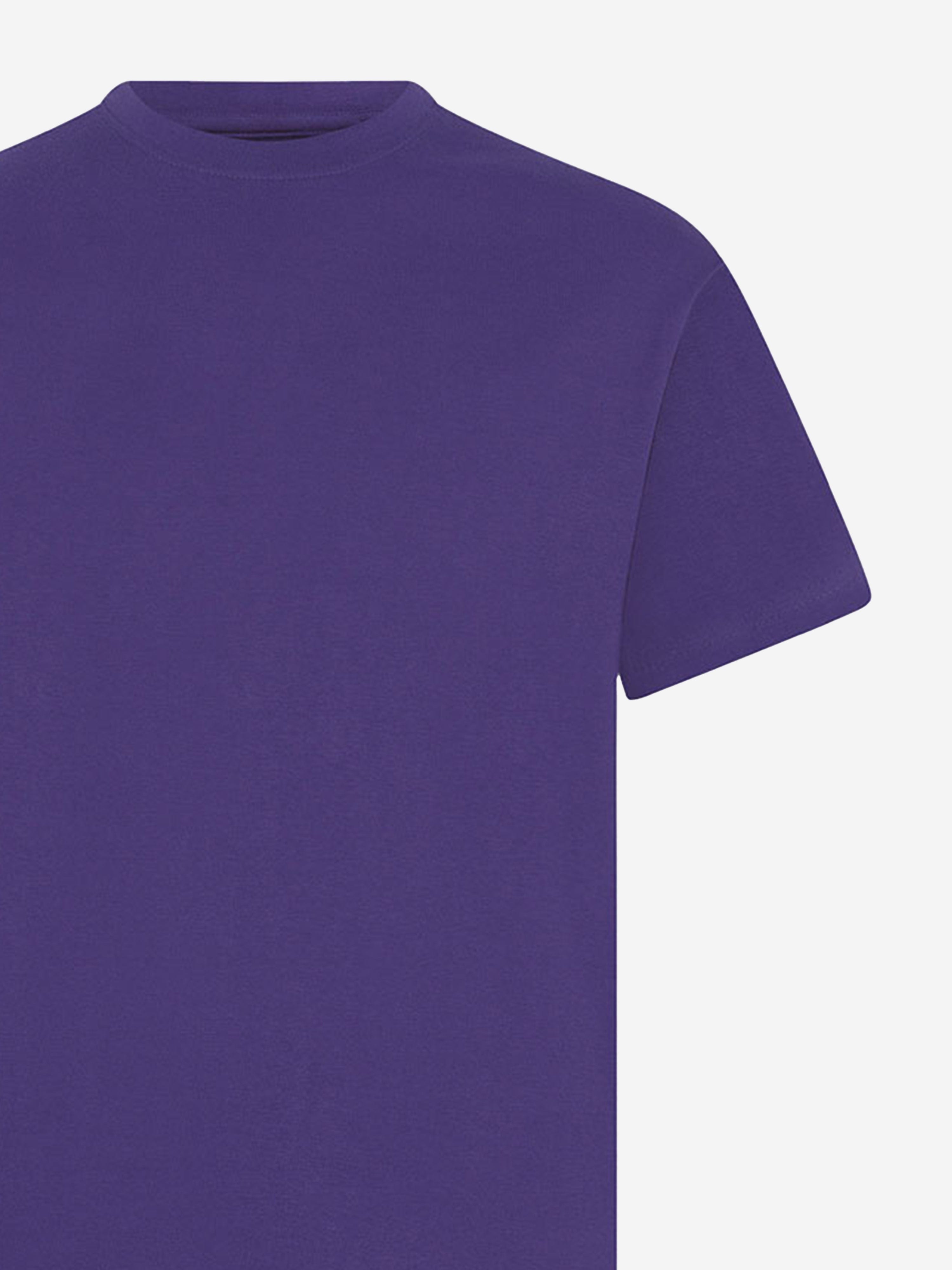 Zeco Kids School Crew Neck T-Shirt (Twin Pack) in Purple Discount Wholesale