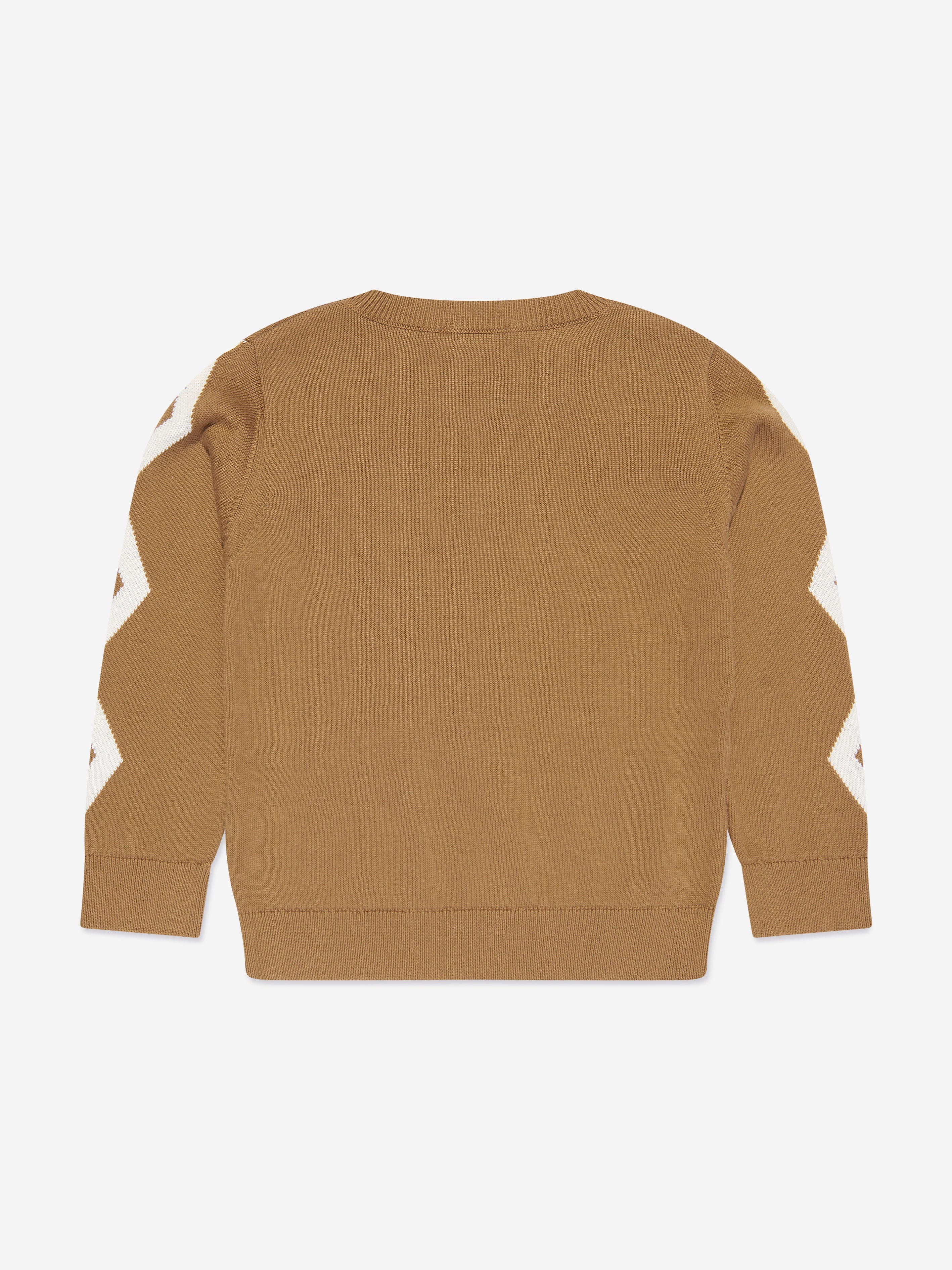 Stella McCartney Boys Knitted Jumper in Brown Sast