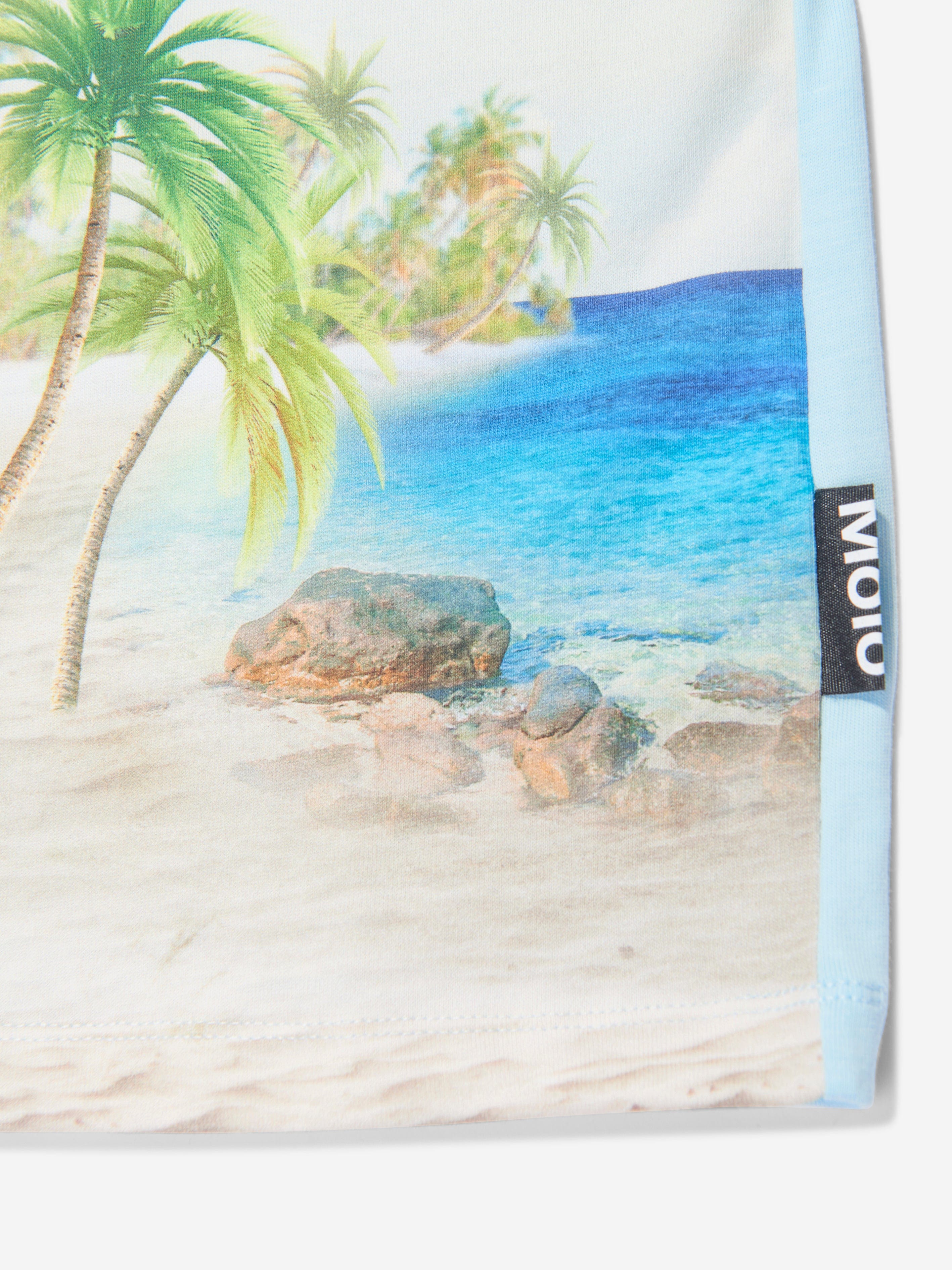 Molo Boys Beach Dinosaur Print T-Shirt in Blue Great Deals Sale Online