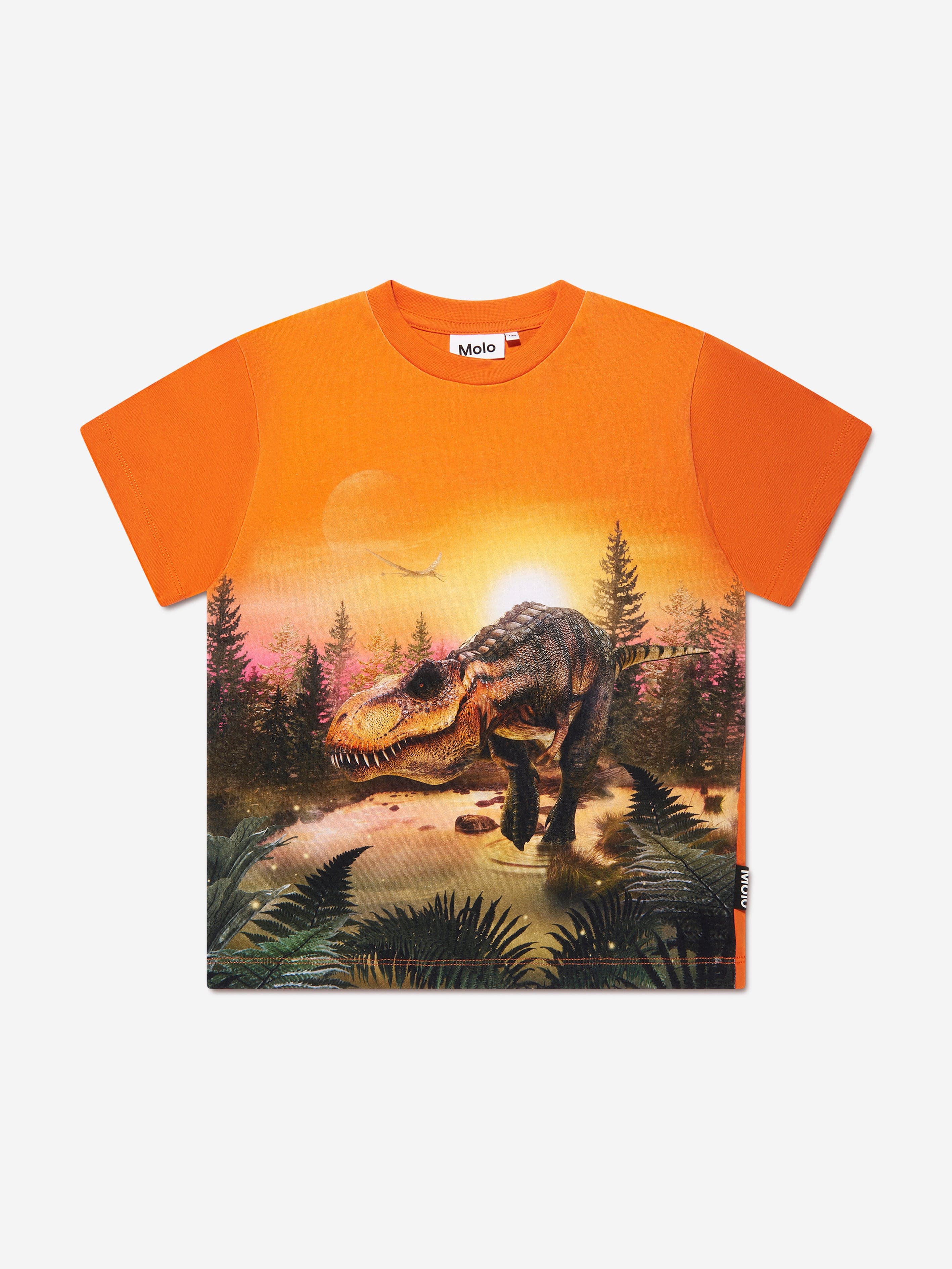 Molo Boys Dino Lake T-Shirt in Orange Release Dates