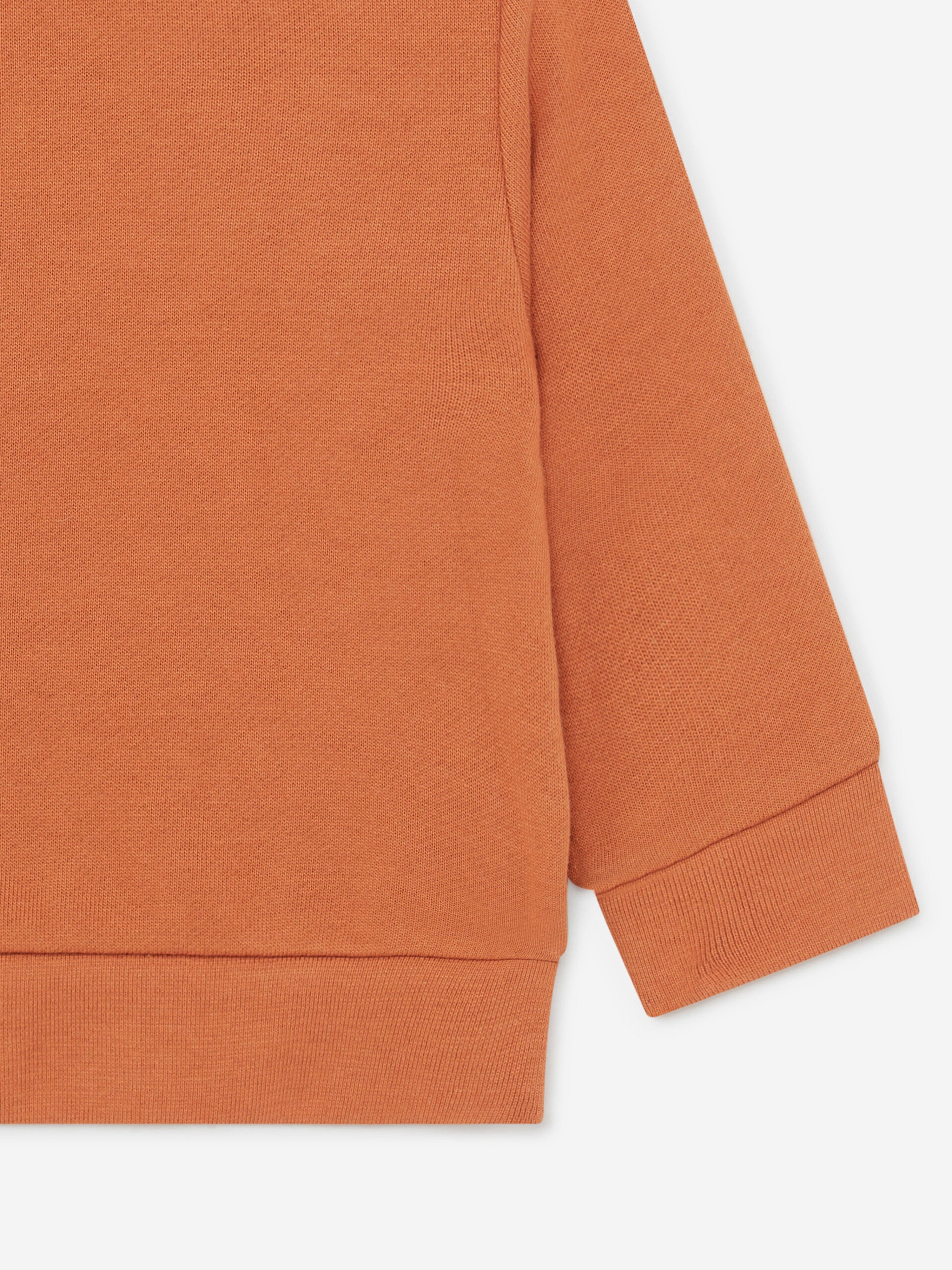 Stella McCartney Baby Boys Horse Sweatshirt in Brown Cheap Get To Buy