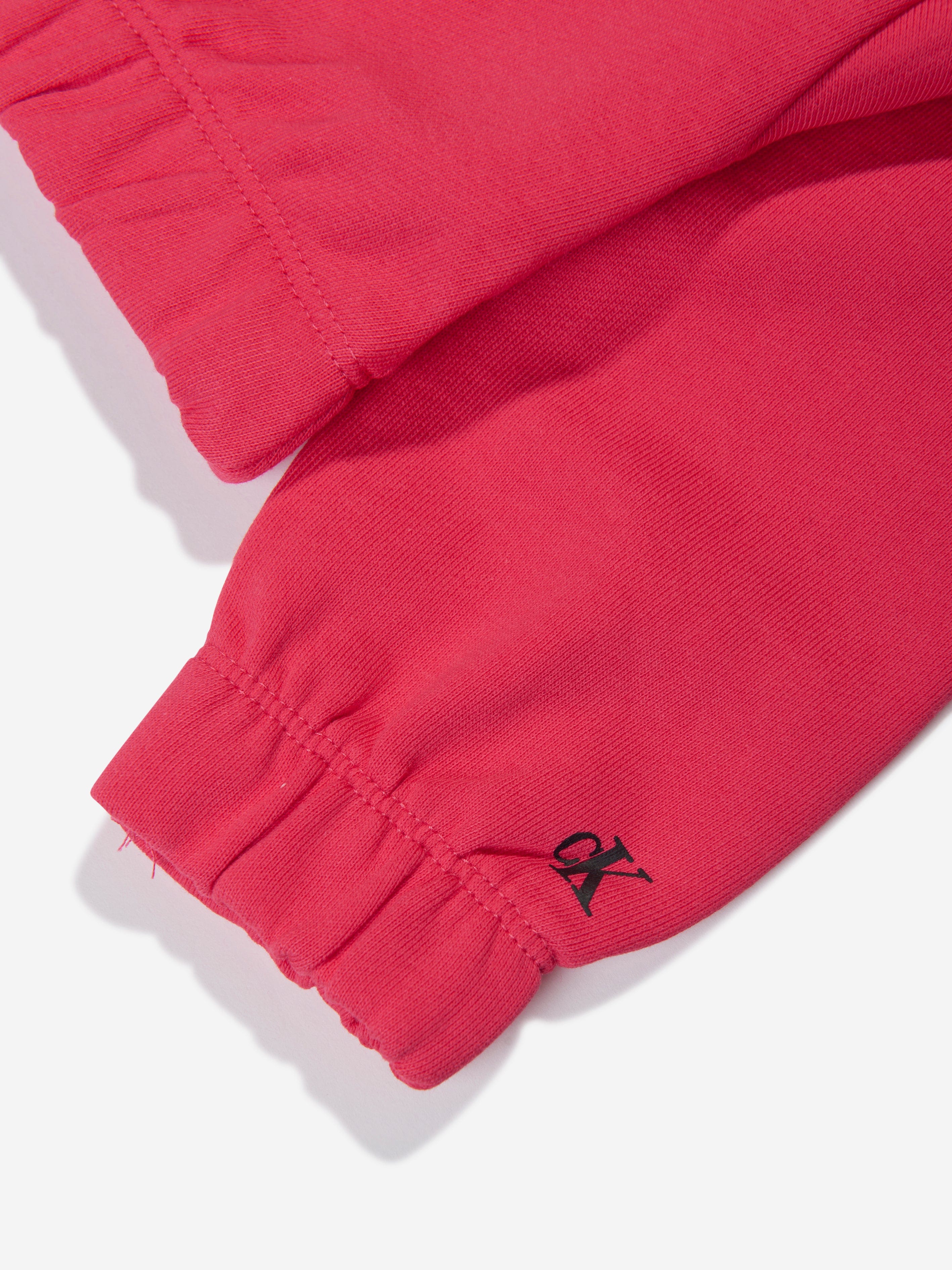 Calvin Klein Girls Hero Logo Hoodie in Teaberry Visit Sale Online