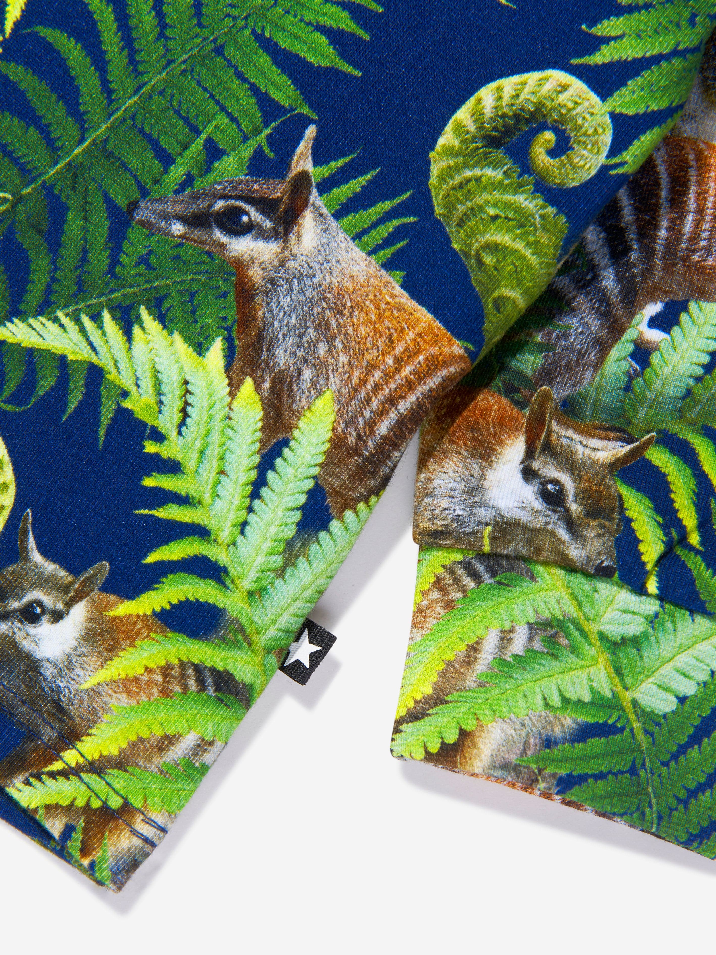 Molo Baby Boys Organic Cotton Long Sleeve Squirrel T-Shirt Outlet Manchester