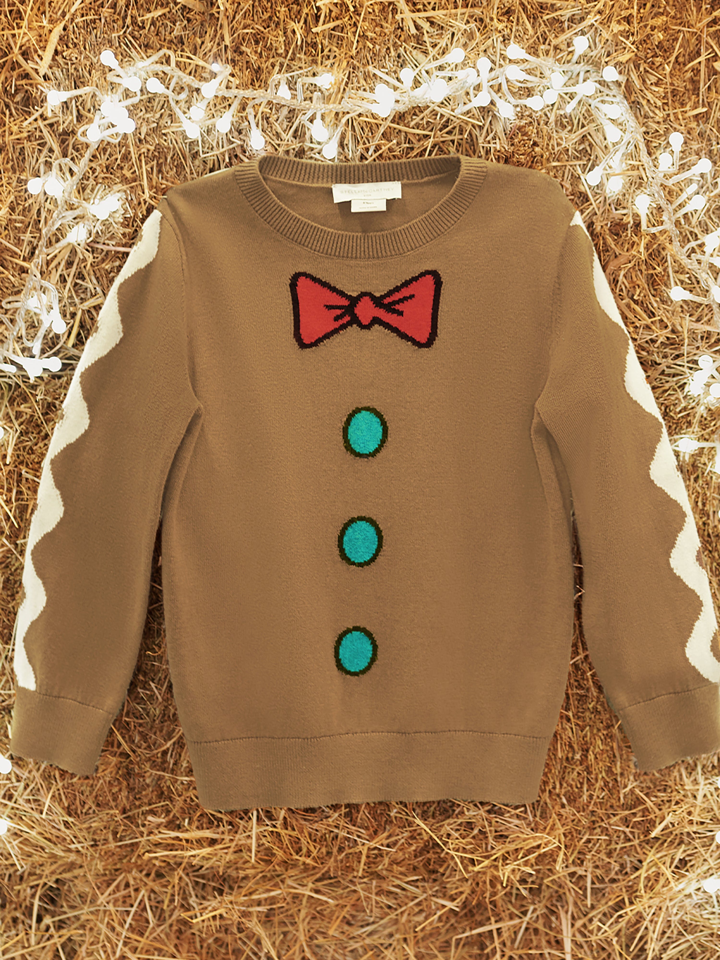 Stella McCartney Boys Knitted Jumper in Brown Sast