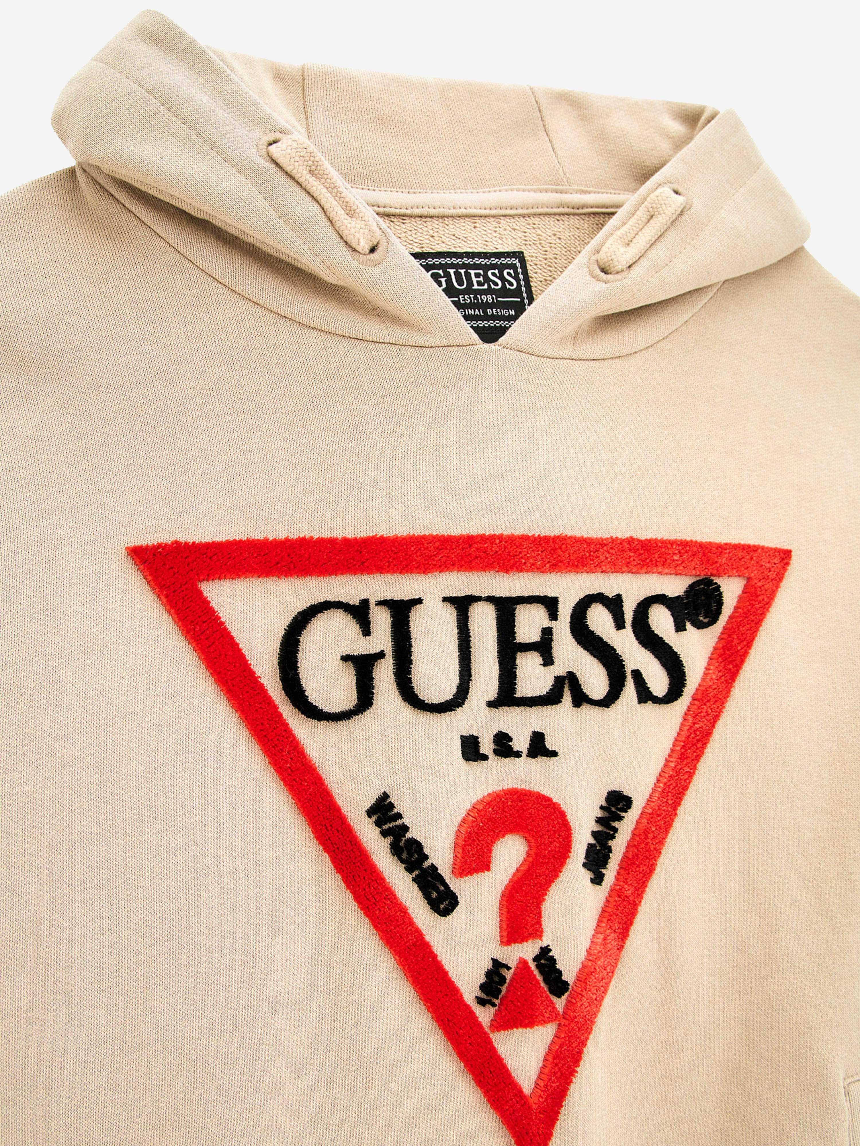 Guess Boys Logo Hoodie in Beige Supply Online