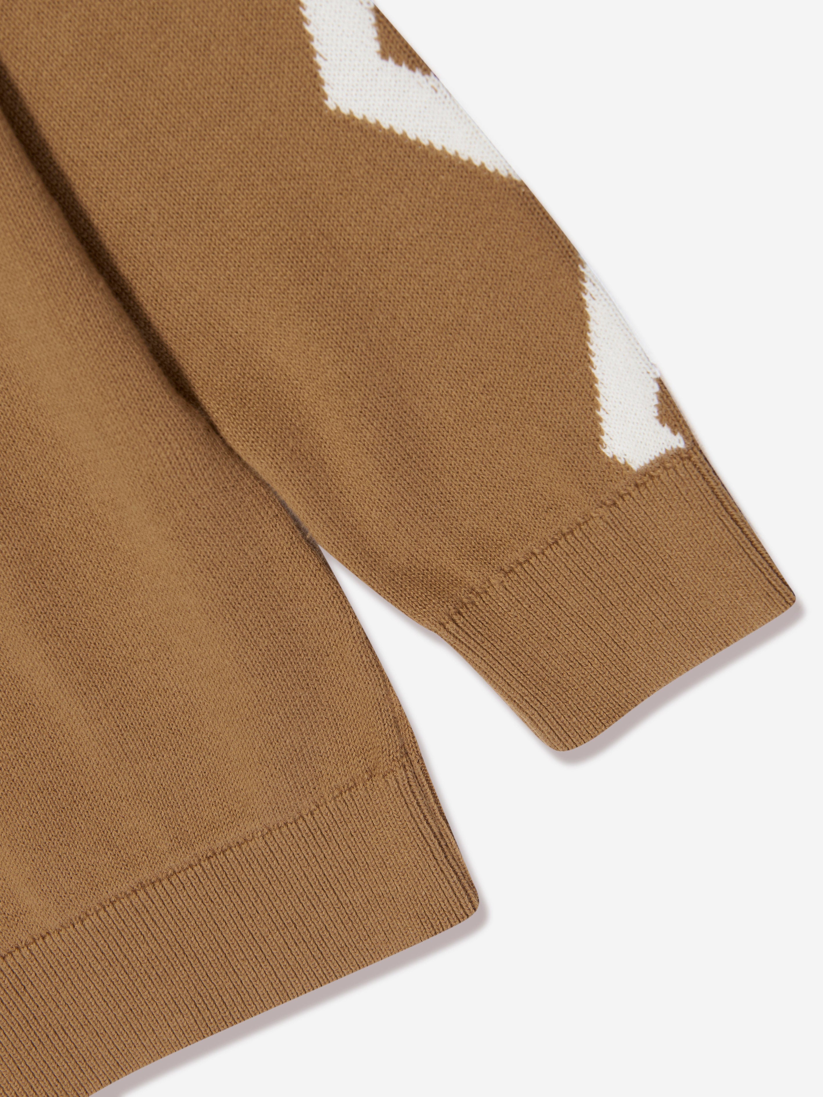Stella McCartney Boys Knitted Jumper in Brown Sast