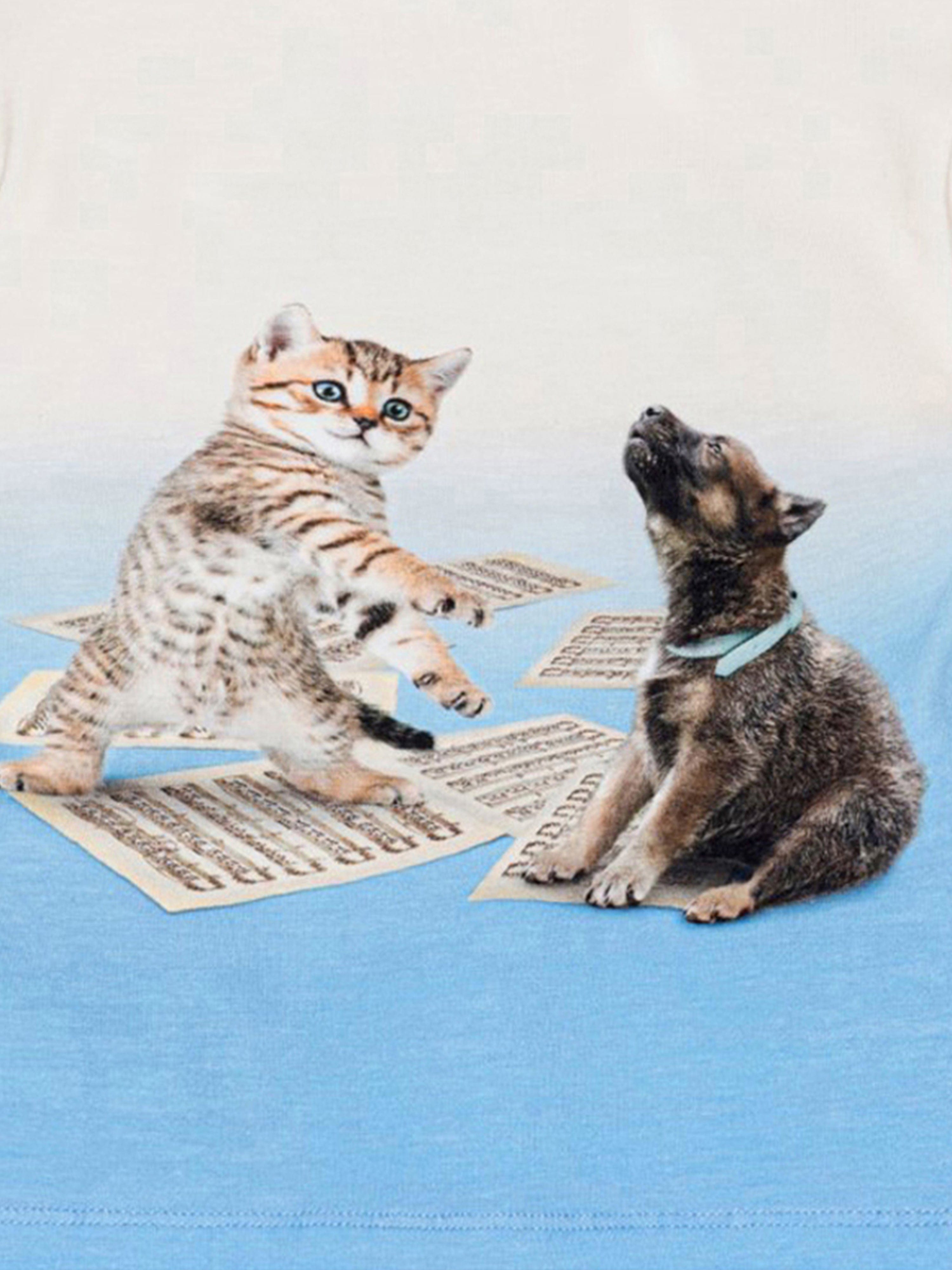 Molo Baby Animal Print T-Shirt in White With Credit Card Cheap Online