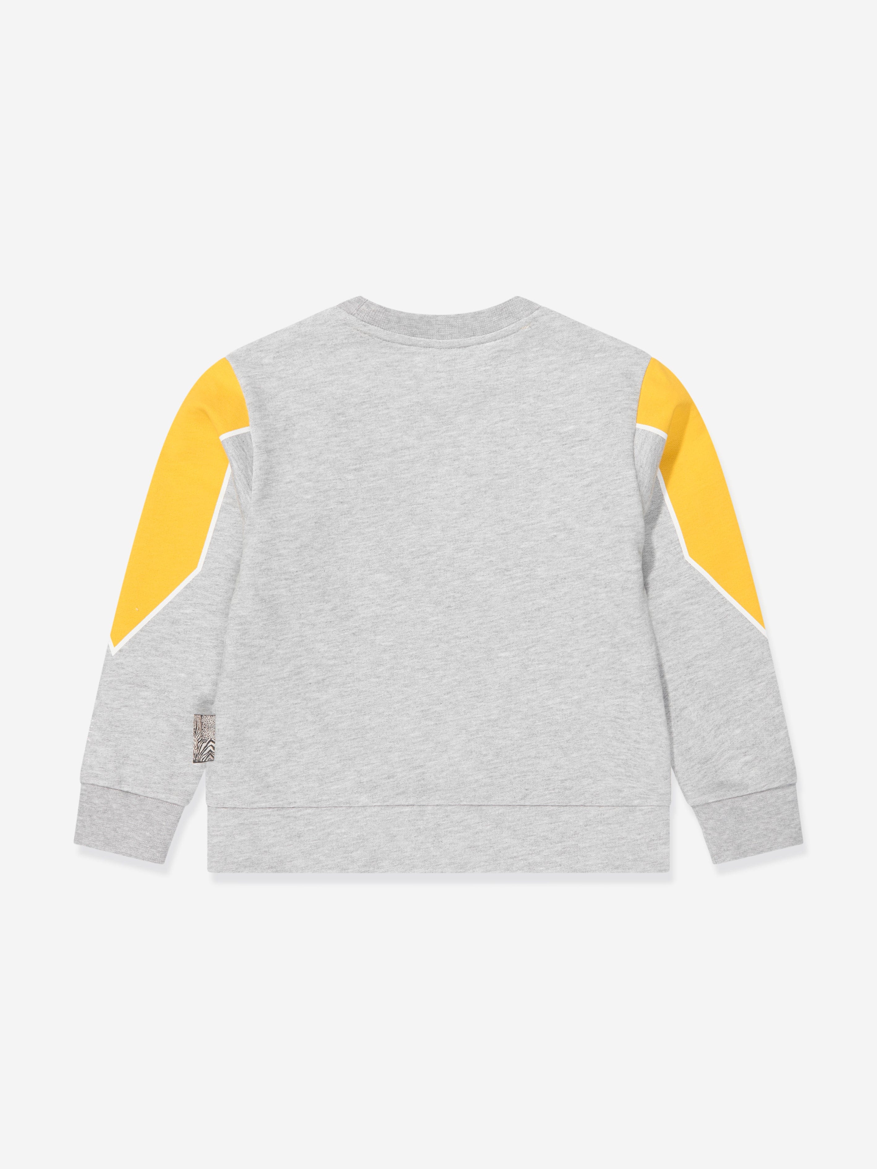 Roberto Cavalli Boys Lion Sweatshirt in Grey Buy Cheap Footlocker