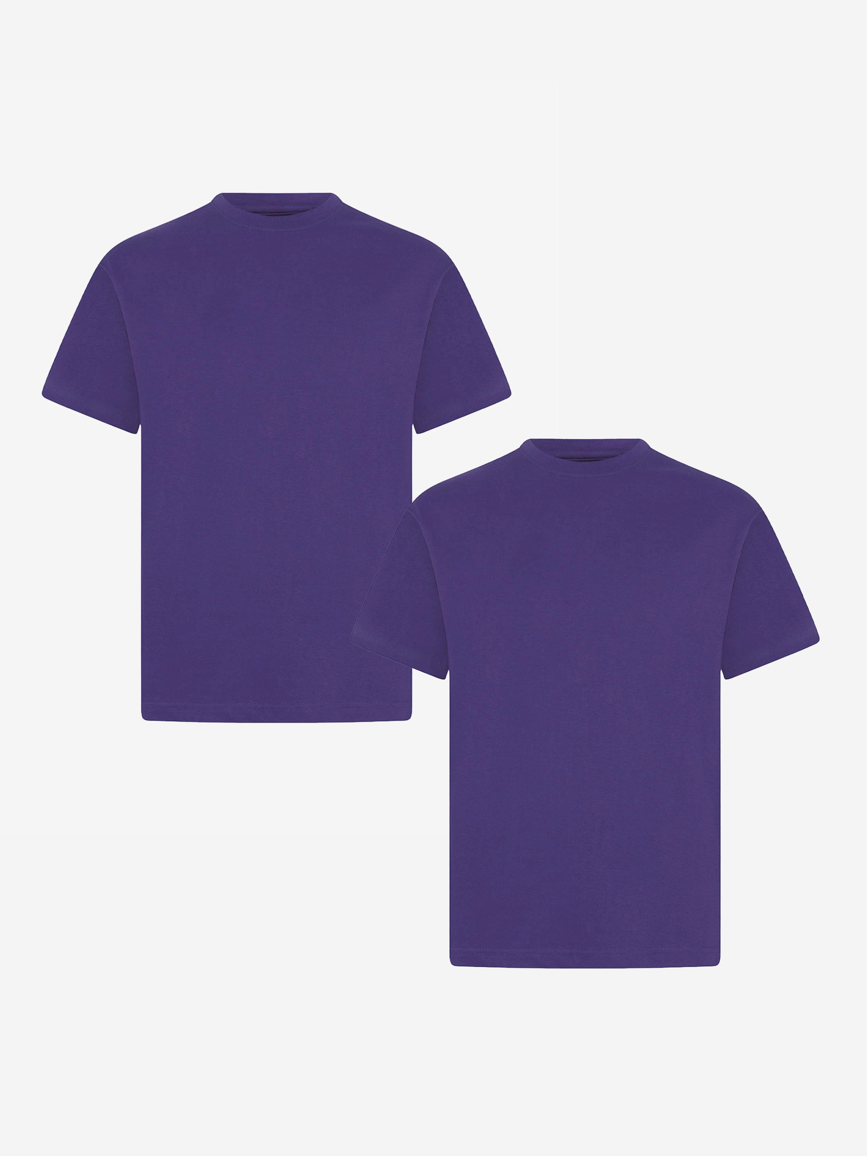 Zeco Kids School Crew Neck T-Shirt (Twin Pack) in Purple Discount Wholesale
