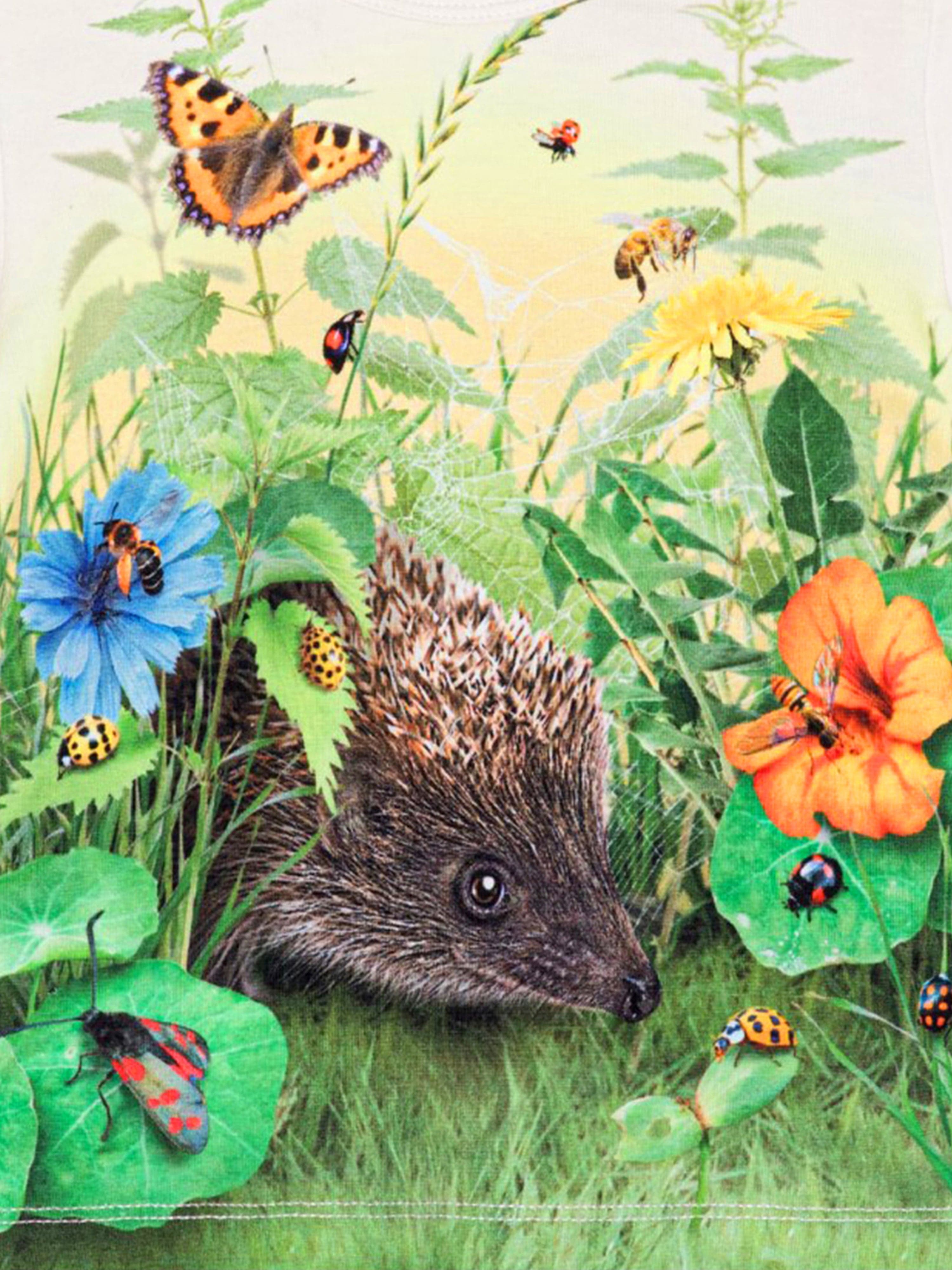 Molo Baby Hedgehog T-Shirt in Multicolour Outlet 2025 Unisex